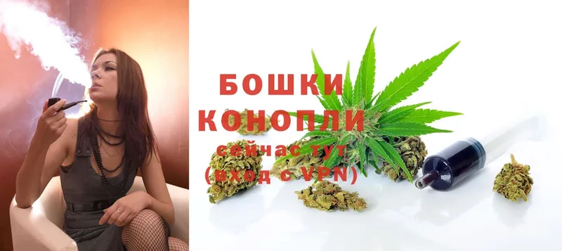 Марихуана THC 21%  Апатиты 